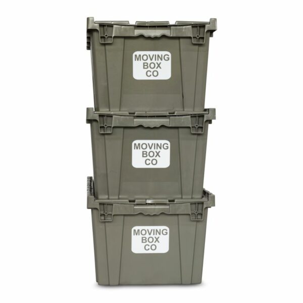 100 Box Package - Image 4